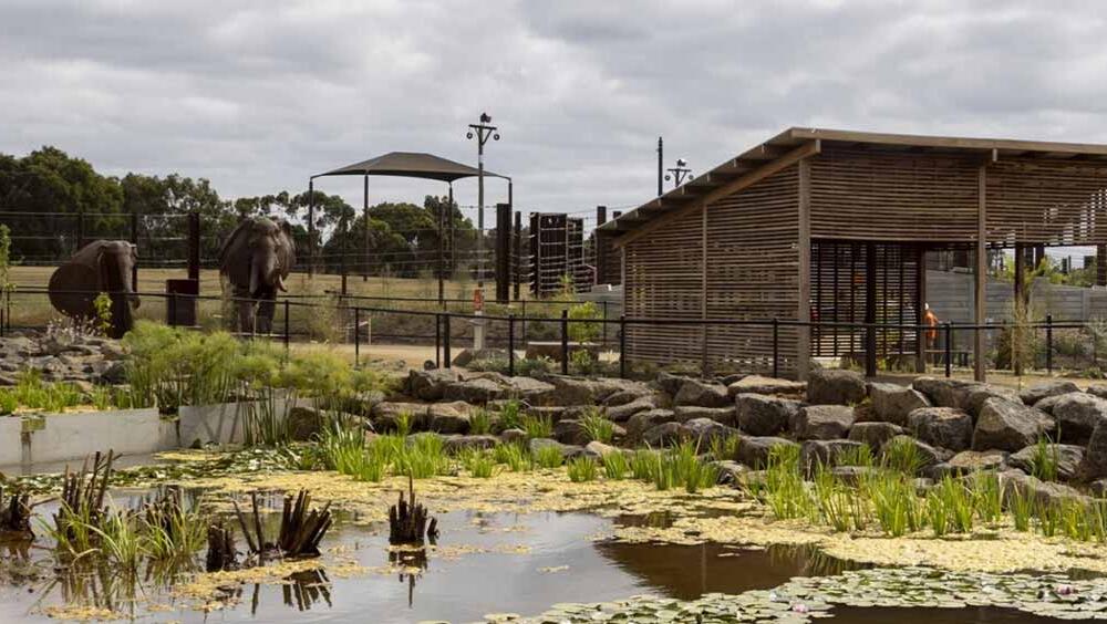 Elephant-enclosure
