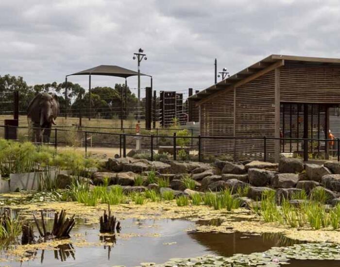 Elephant-enclosure